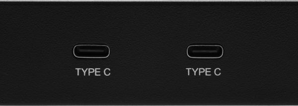 Адаптер USB 2xUSB3.1 Type-C Ret низкие цены купить в Тюмени
